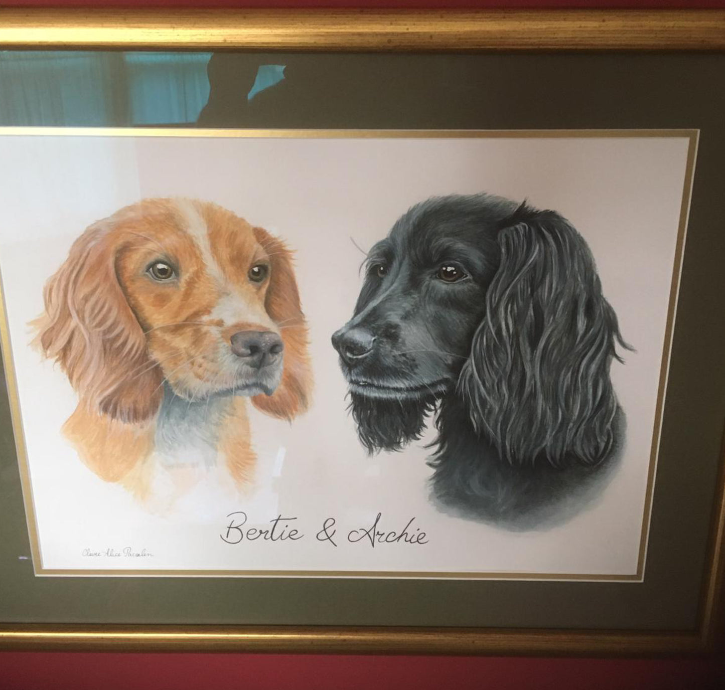 Bertie and Archie the Cocker Spaniels