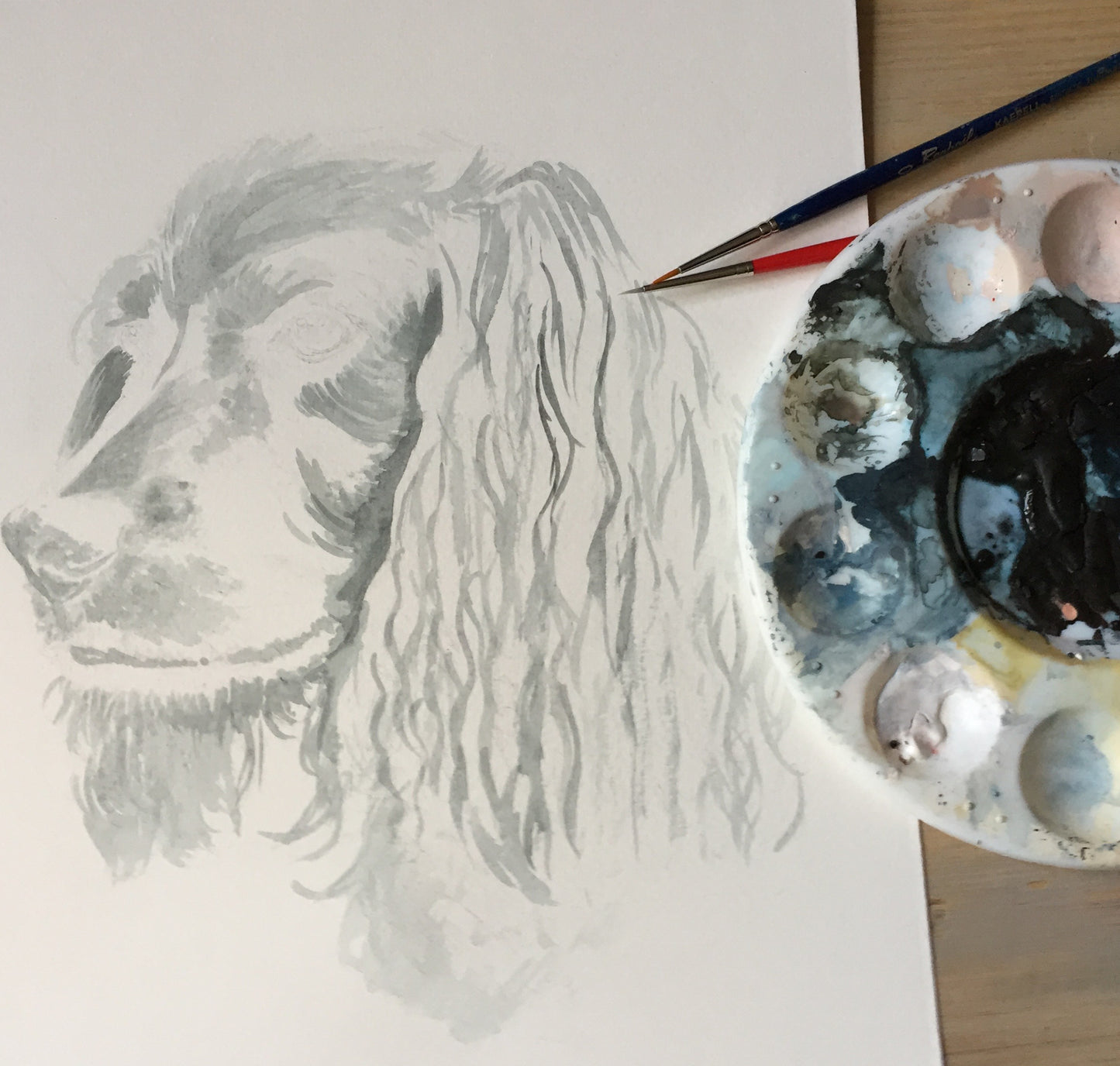 Bertie and Archie the Cocker Spaniels