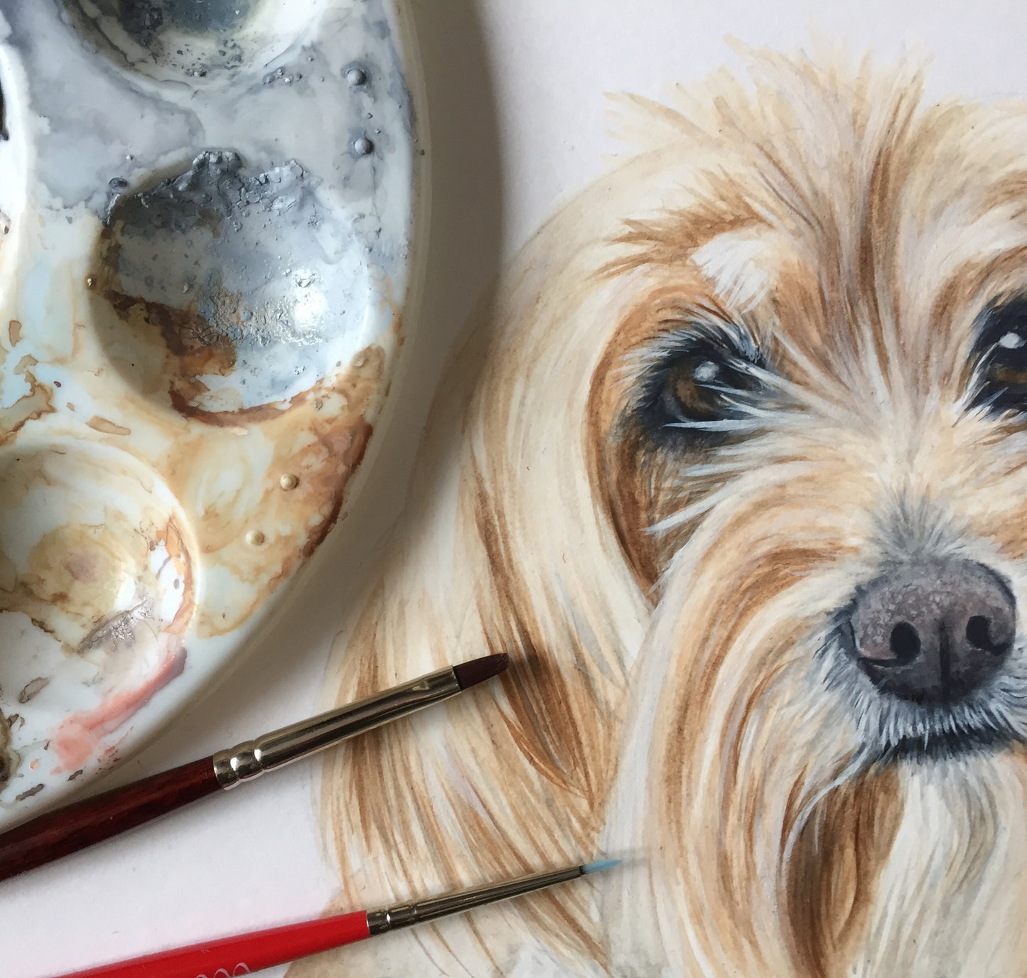 Honey & Freddie the Mixed Terriers