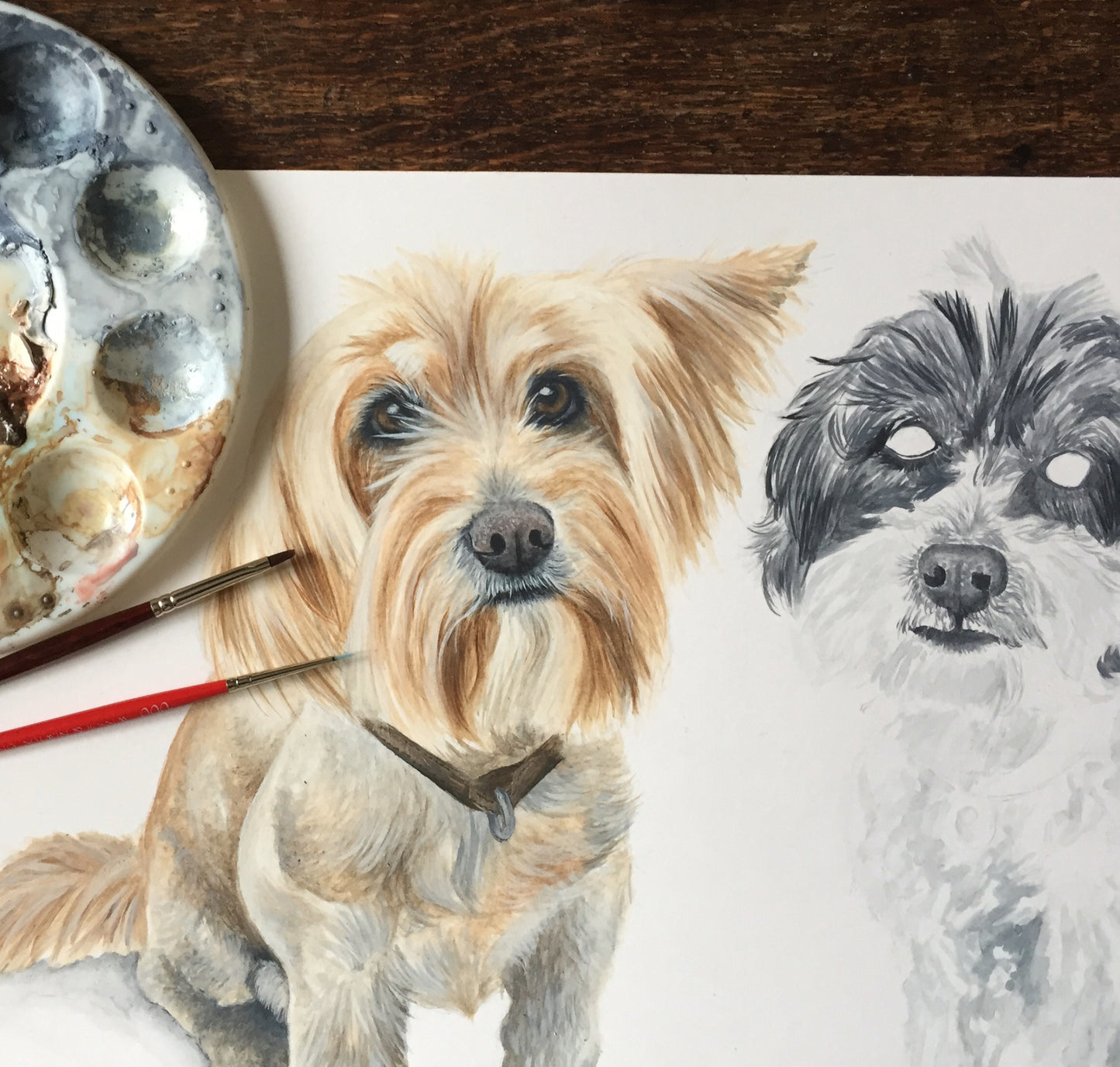 Honey & Freddie the Mixed Terriers