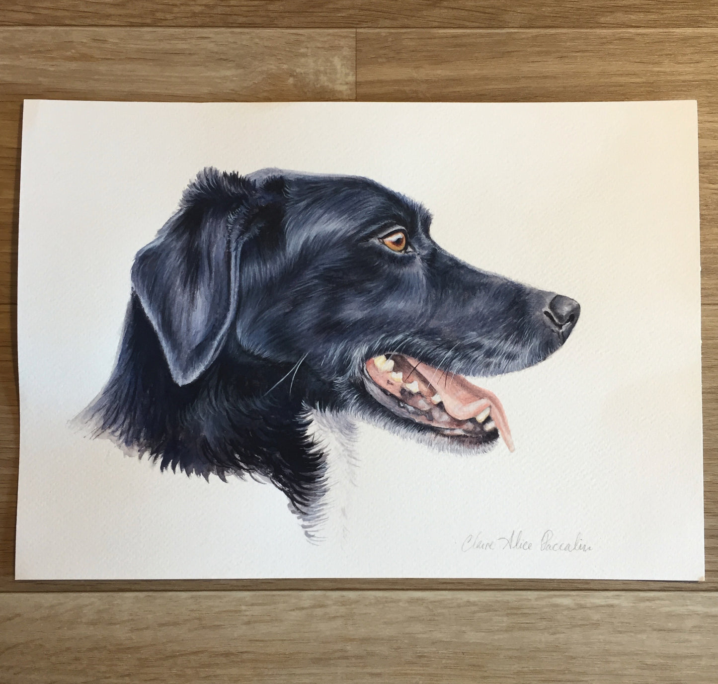 Jet the Pointer Cross