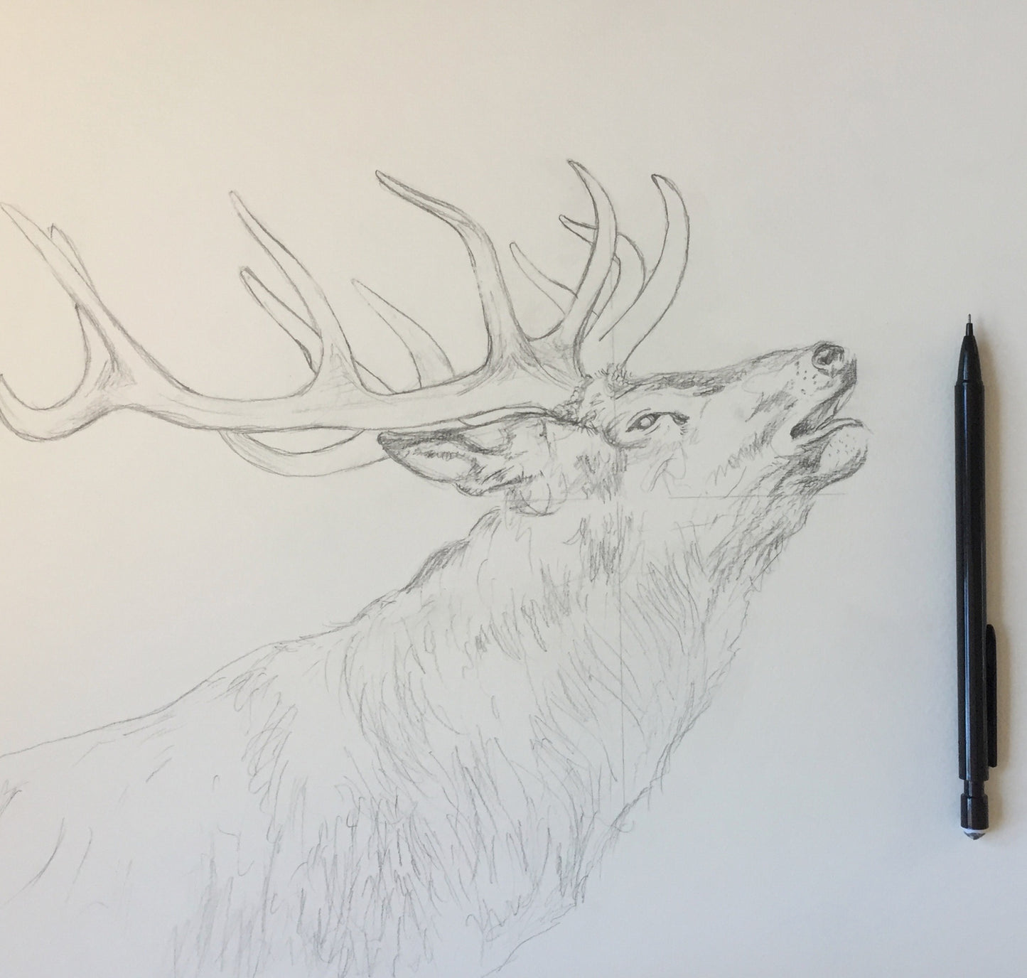 Red Stag - Wildlife Painting