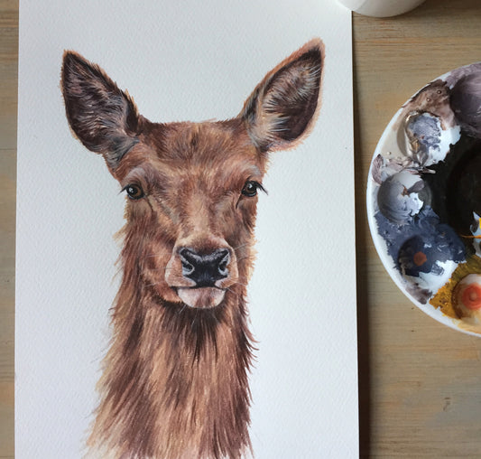 Red Deer - Wildlife Painting