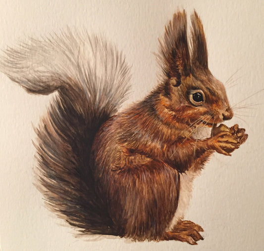 Squirrel - Wildlife Painting