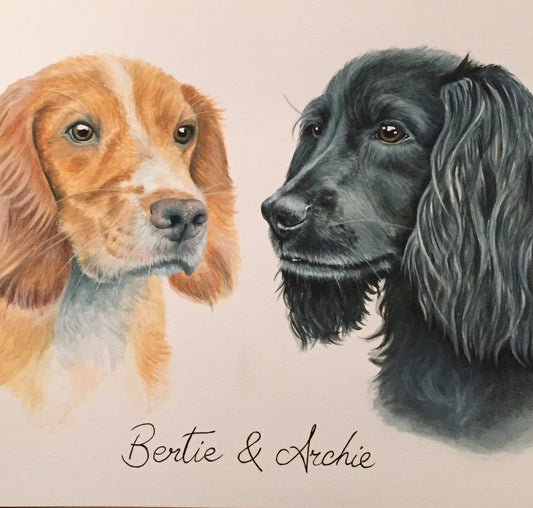 Bertie and Archie the Cocker Spaniels