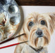 Honey & Freddie the Mixed Terriers