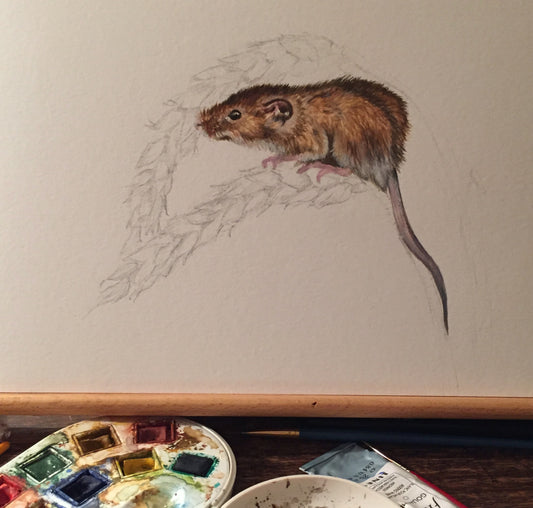 Mouse - Wildlife Painting