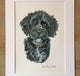 Sisi the Poodle Cross